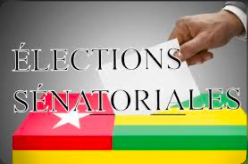 Les Sénatoriales: Une Première Bien Réussie Au Togo
