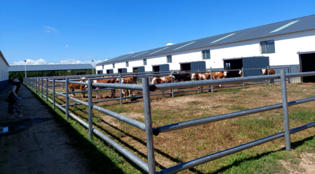 Lutte Contre La Pauvreté En Mongolie Intérieure: Hatubuqi Gacha, Un Village Modèle La Revitalisation Rurale