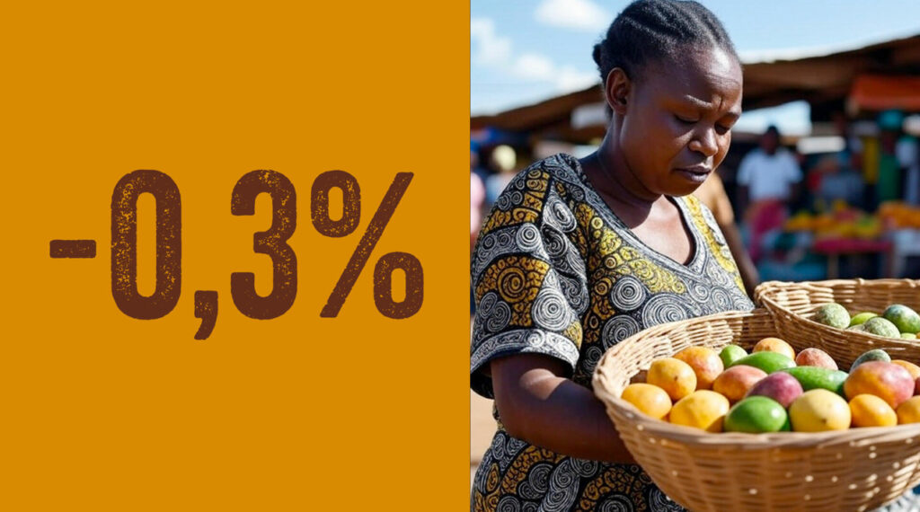 Le Togo Connaît Un Signal Très Positif Pour Ses Ménages