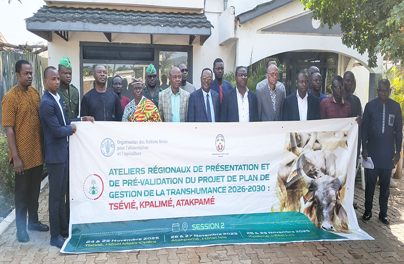 Transhumance: La FAO Soumet Un Plan De Gestion Pour Validation