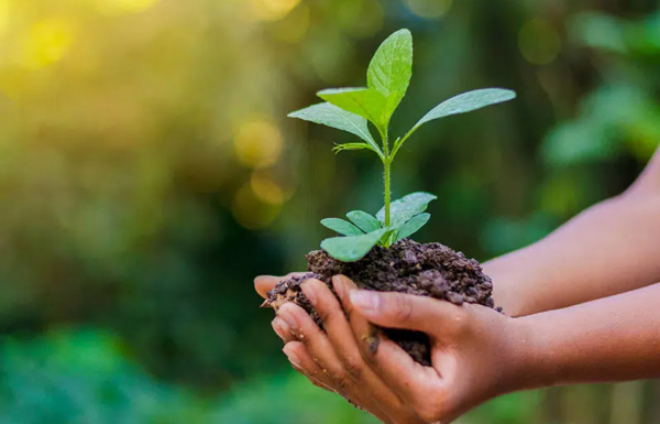 Le Togo Sur Une Trajectoire Prometteuse Pour L’Environnement