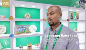 Économie Chine-Afrique : Le Tournant Du Libre-Échange Et L’Impact De La Zone « Zéro Tarif » À Hainan