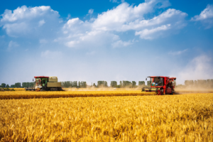 Plan Quinquennal 2026-2030 Pour L’Agriculture : La Sécurité Alimentaire, Un Acquis À Consolider